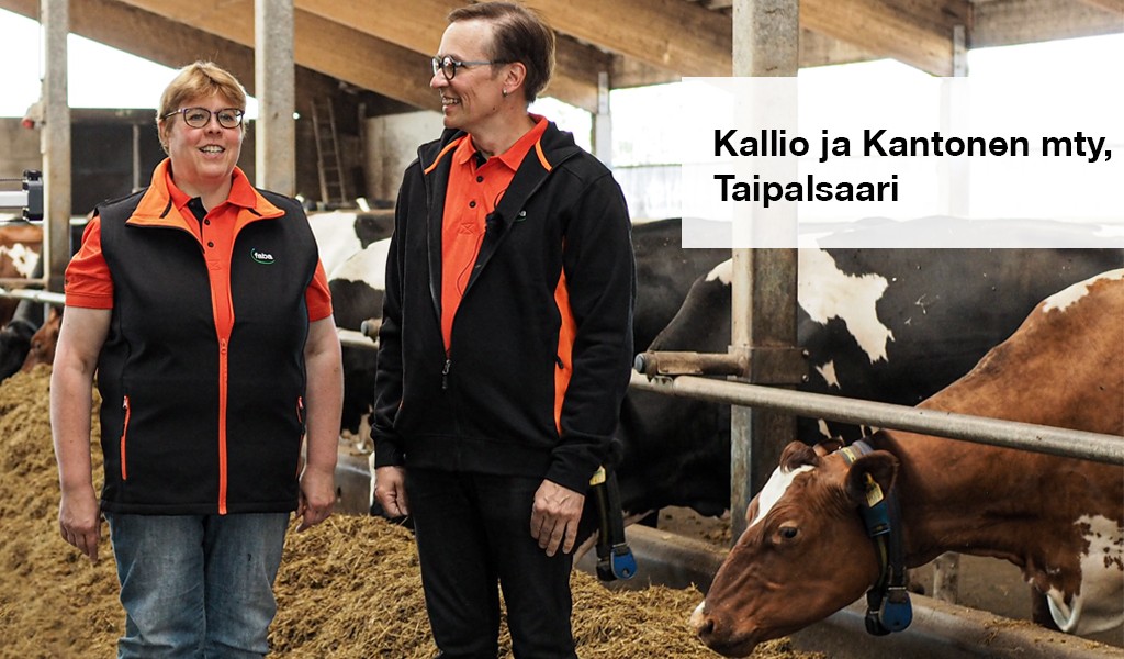 Tilavierailu Kallio ja Kantonen mty:llä, Taipalsaari