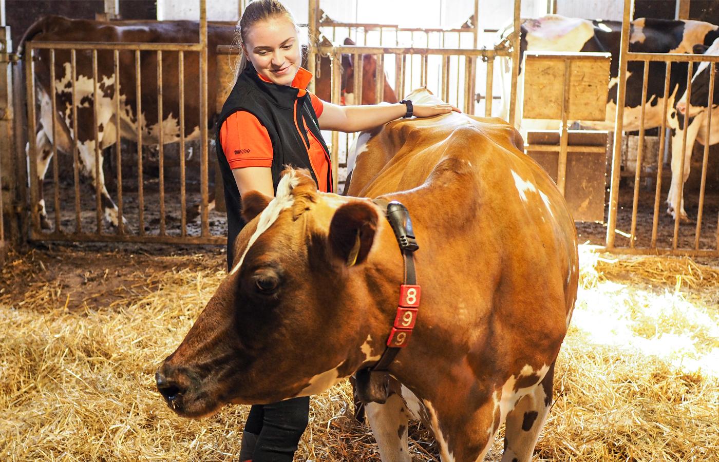 Kom med i ett professionellt och framgångsrikt team!