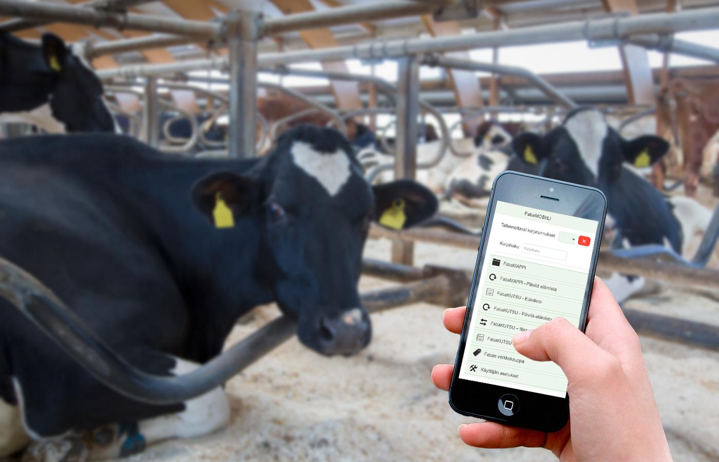 Uusia ominaisuuksia FabaKUTSUun ja FabaMAPPIin!