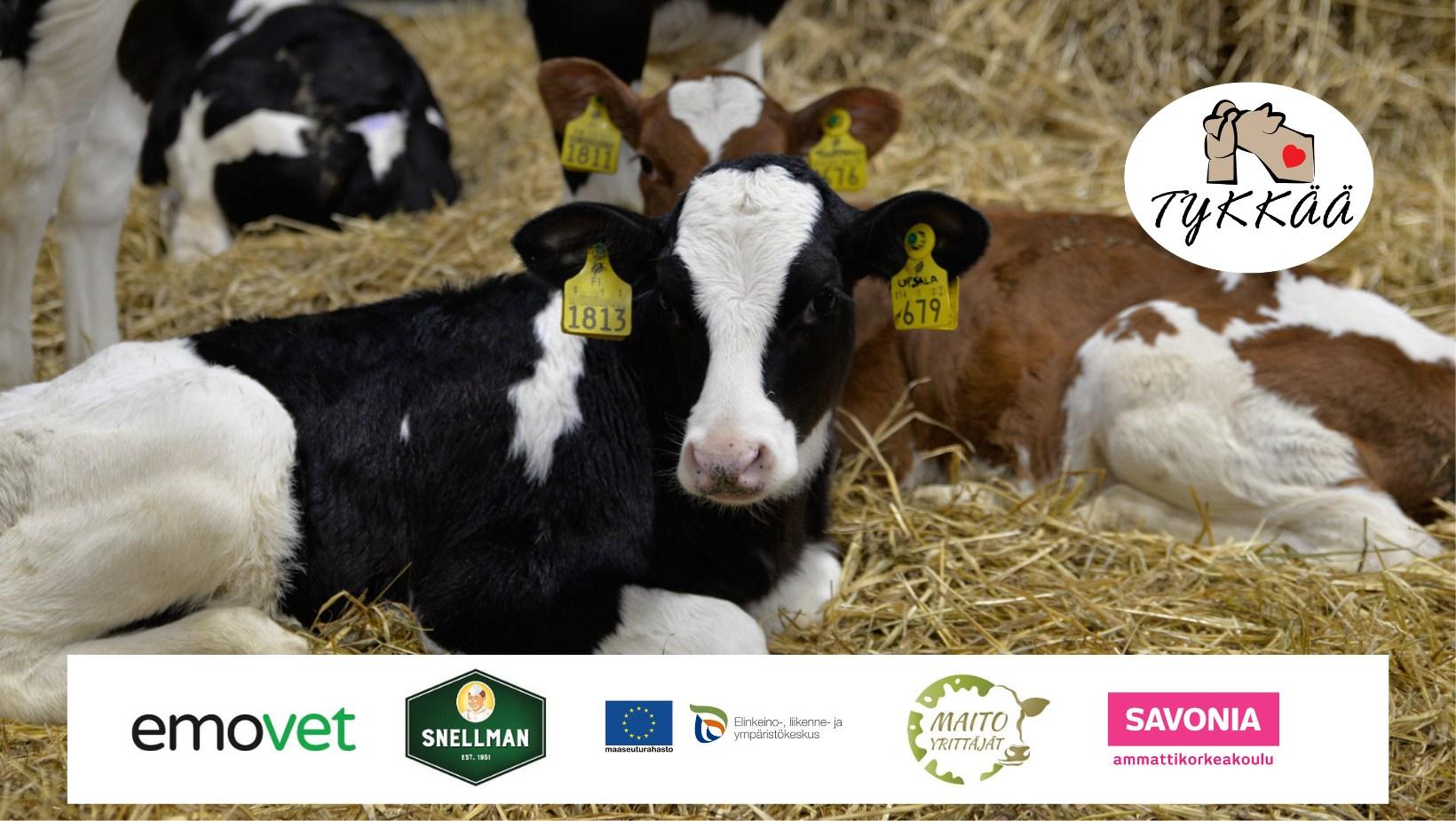 TYKKÄÄ- Opintomatka Hollantiin