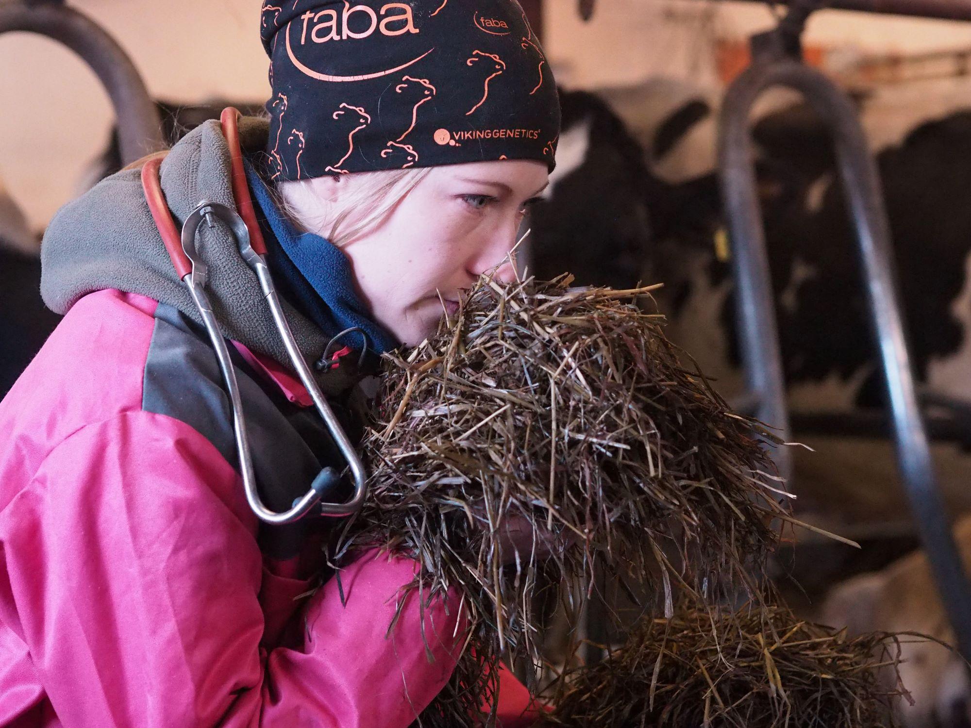 Viisi väitettä terveysjalostuksesta -totta vai tarua?