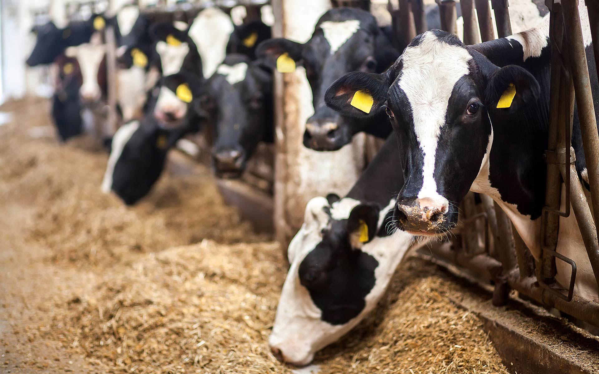 Investointi kannattamaan – lähde mukaan hankkeeseen!