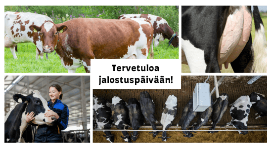 Jalostuspäivät Kalajoella ja Iisalmessa