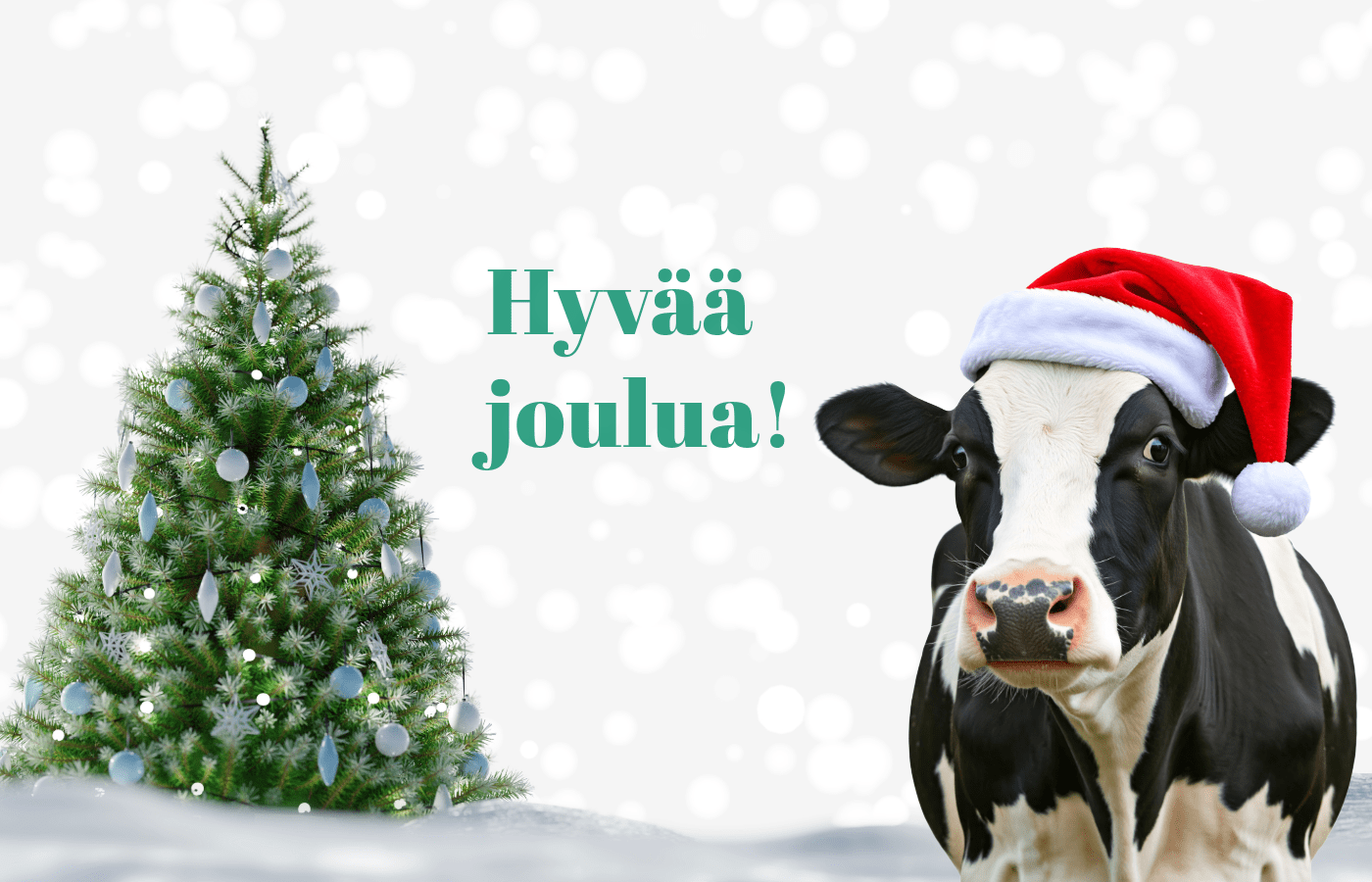 Hyvää joulua kaikille asiakkaillemme!