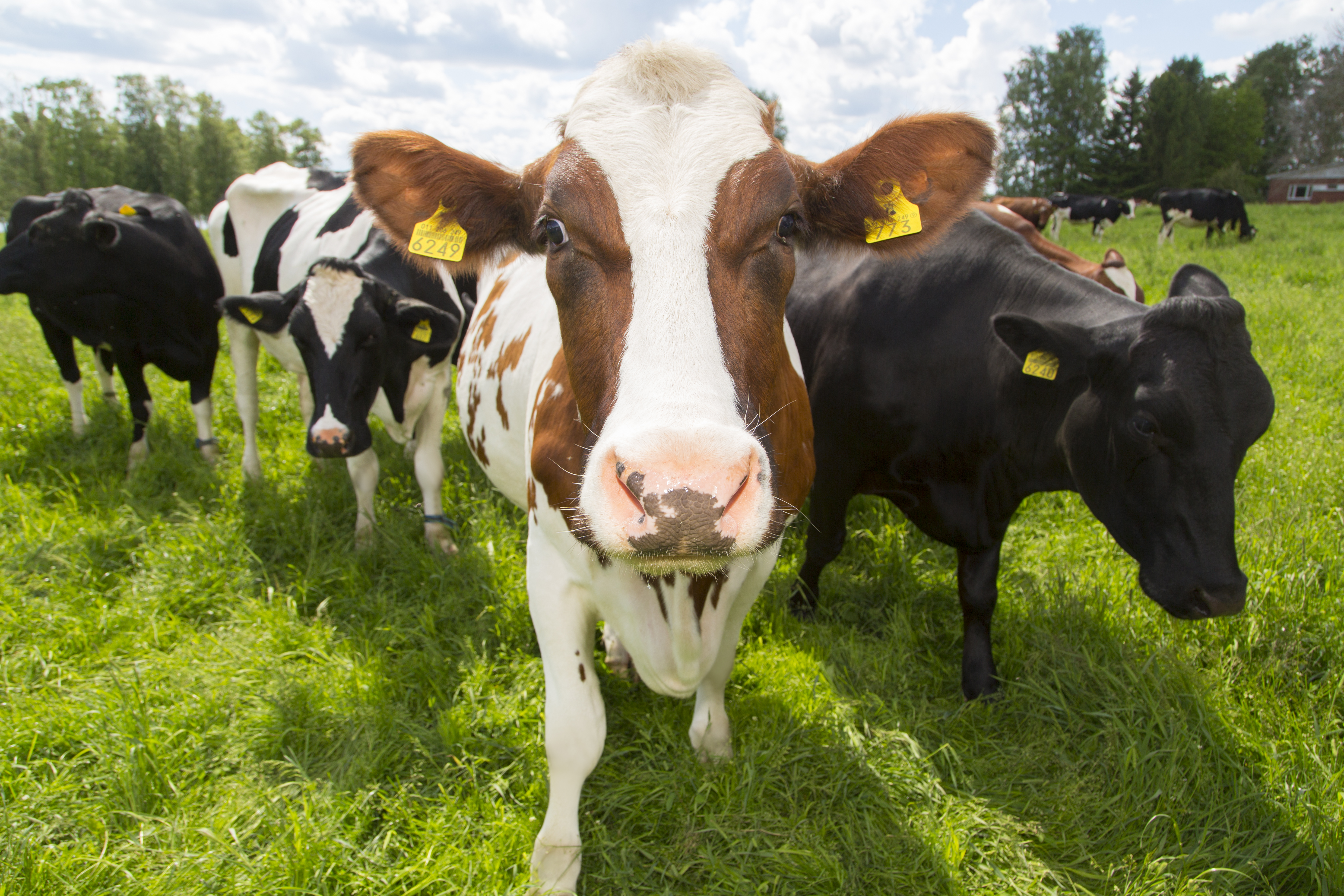 Suuret tulot vai pienet menot?