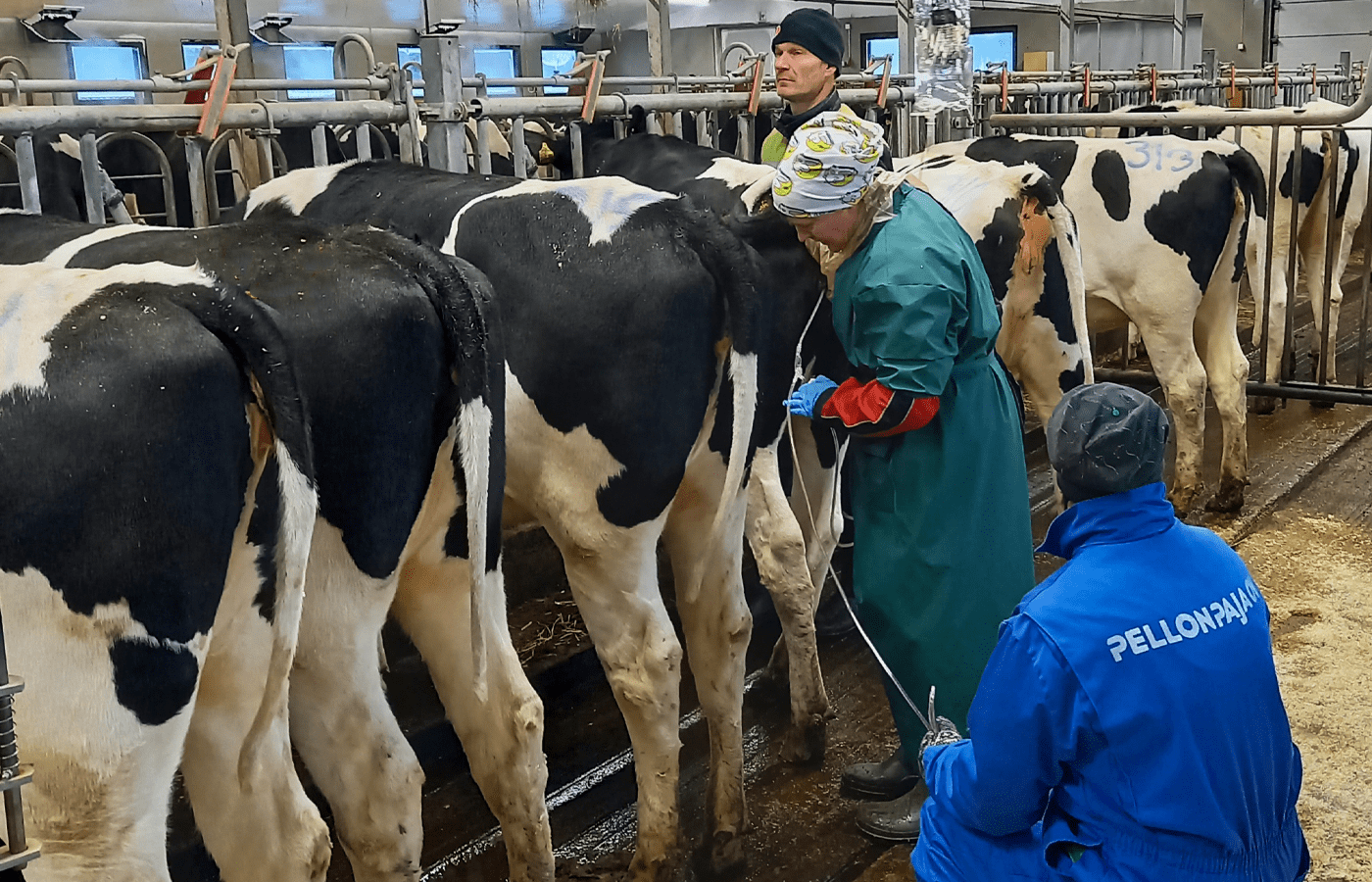 Hyvillä alkioilla on kysyntää