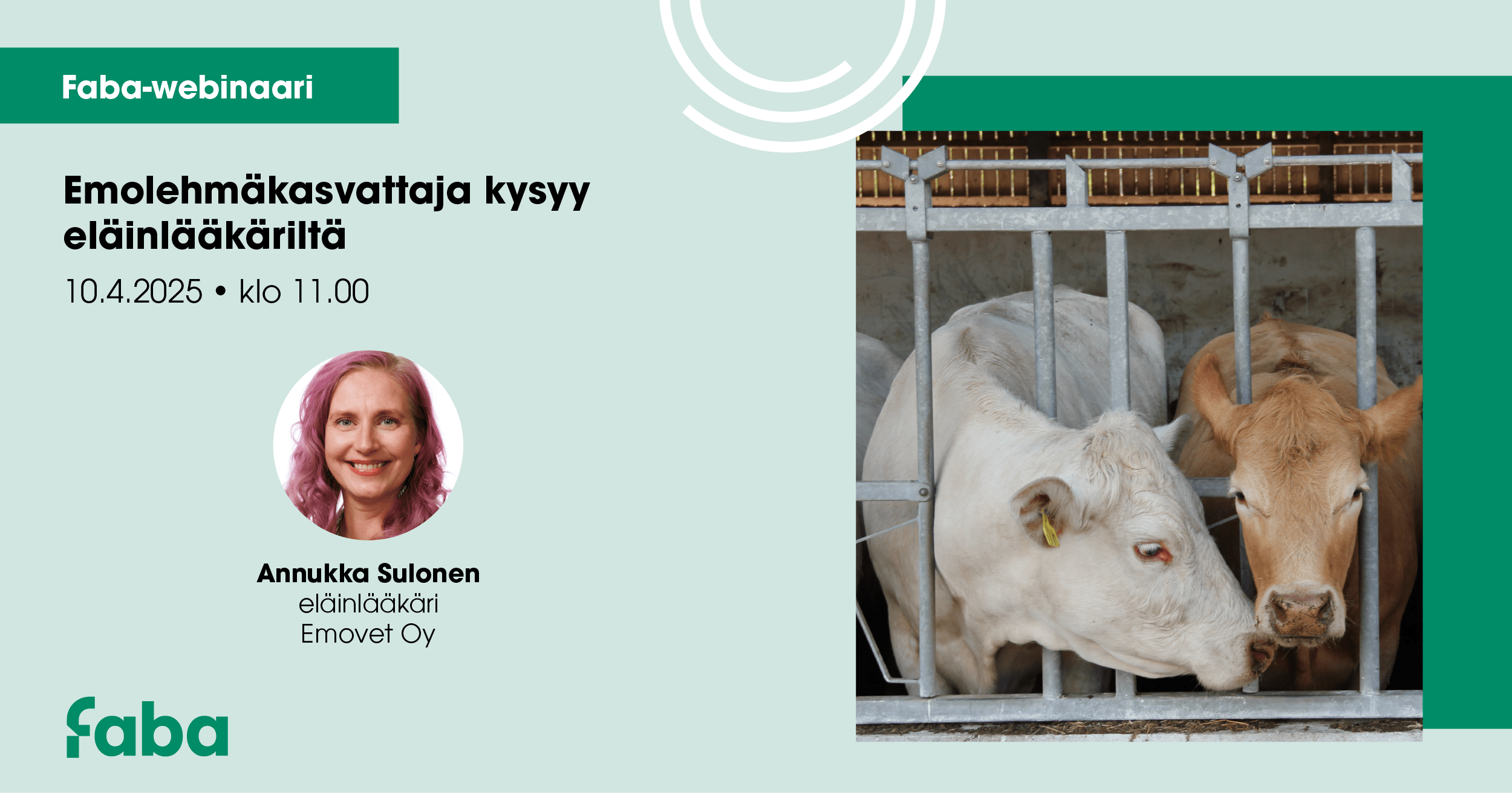 Emolehmäkasvattajat kysyvät eläinlääkäriltä