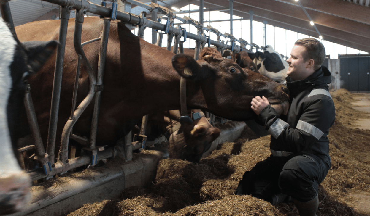 Hyvinvointia ja arjen sujuvuutta Maitosillassa