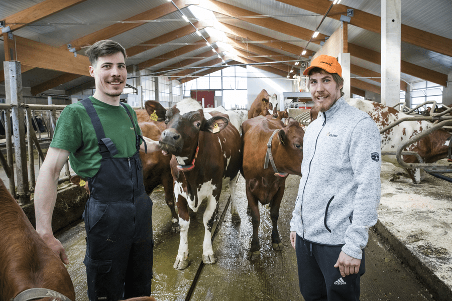 Positiivisuuden kautta eteenpäin