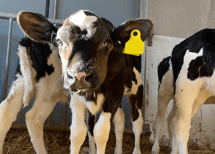 Tuliko teille krypto?