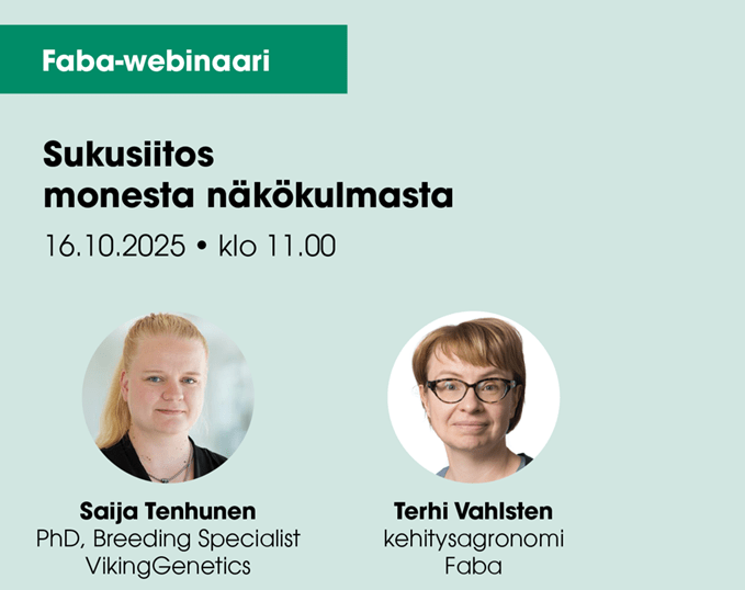 Sukusiitos monesta näkökulmasta