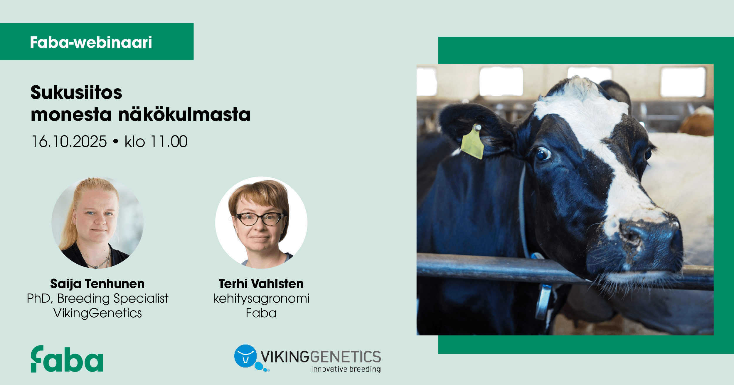 Sukusiitos monesta näkökulmasta