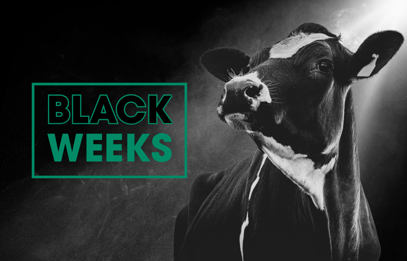 Black Weeks on täällä!