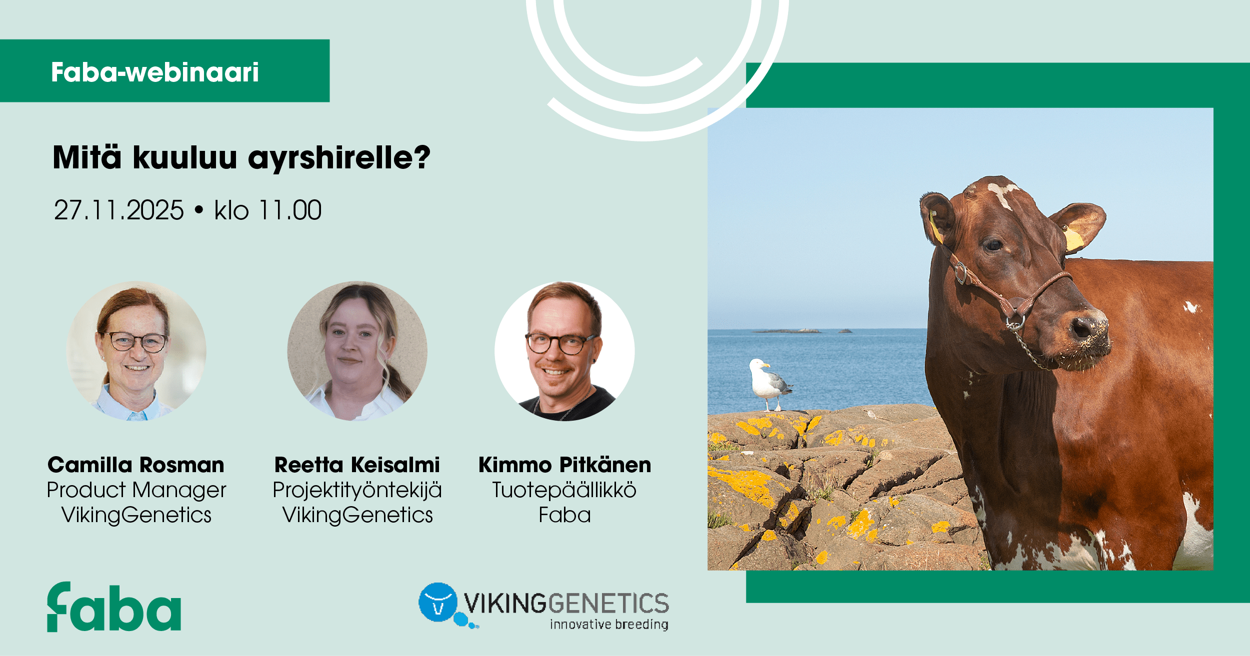 Mitä kuuluu ayrshirelle?