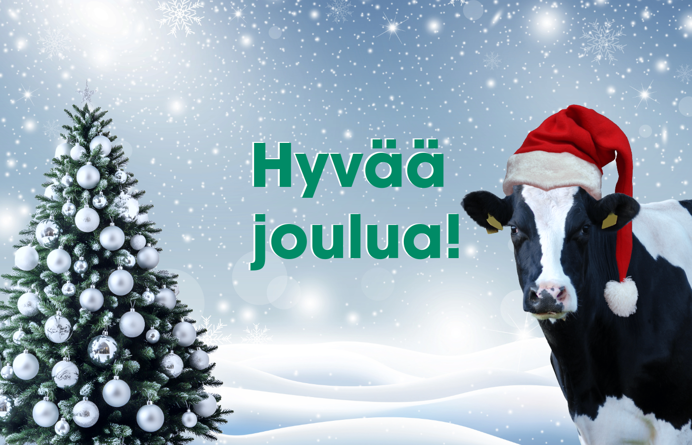 Hyvää joulua!