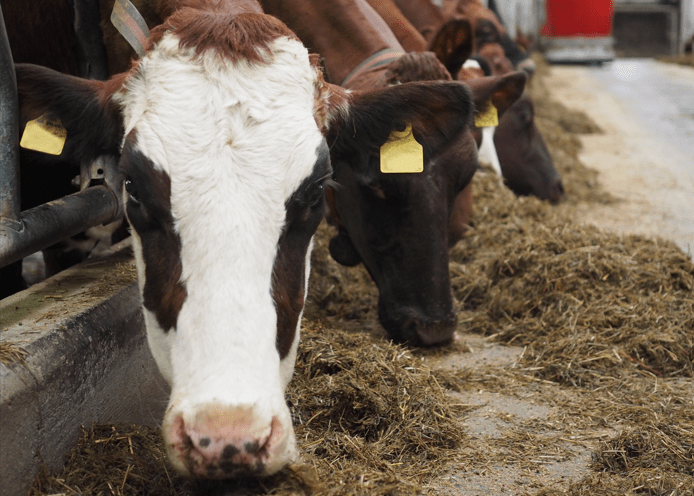 Kontrollera ditt konto!