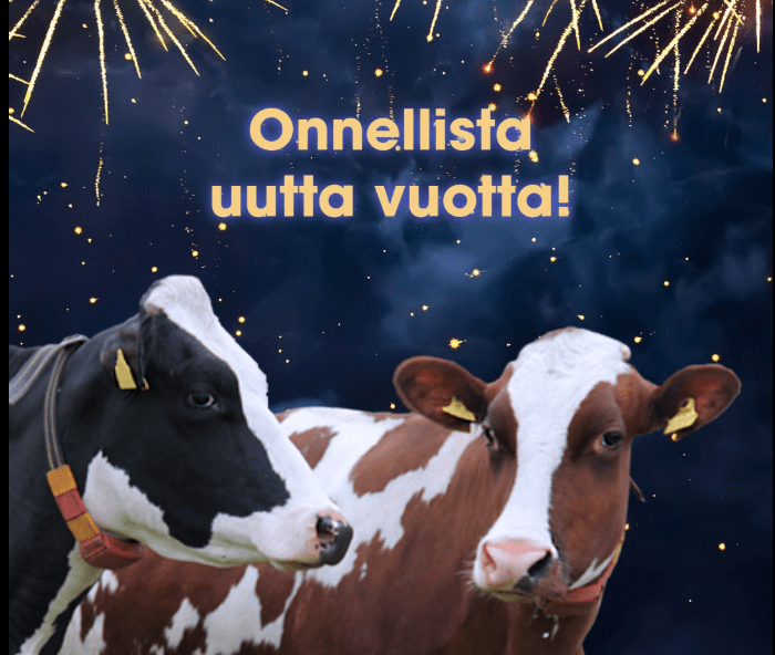Hyvää uutta vuotta!