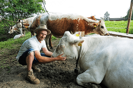 Suomalainen ruoka sai somettajat liikkeelle