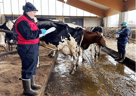 Hyvinvointia mittamaan!