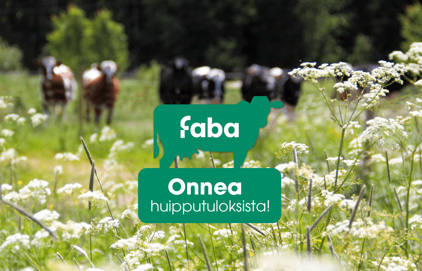 Faban eläinaineksella rakennetaan menestystä Suomen parhaissa karjoissa