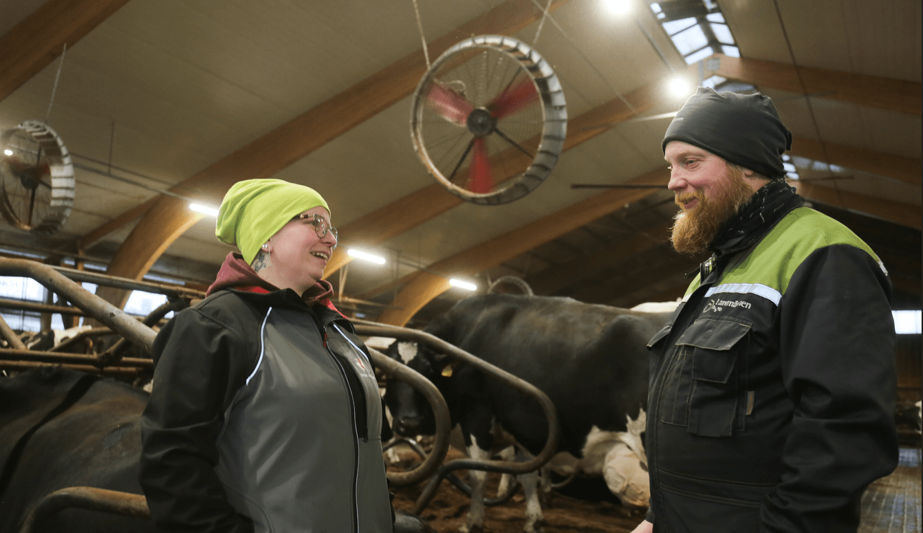 Iso-Vihun tila – perhevoimin kohti kestävää ja tuottavaa maidontuotantoa