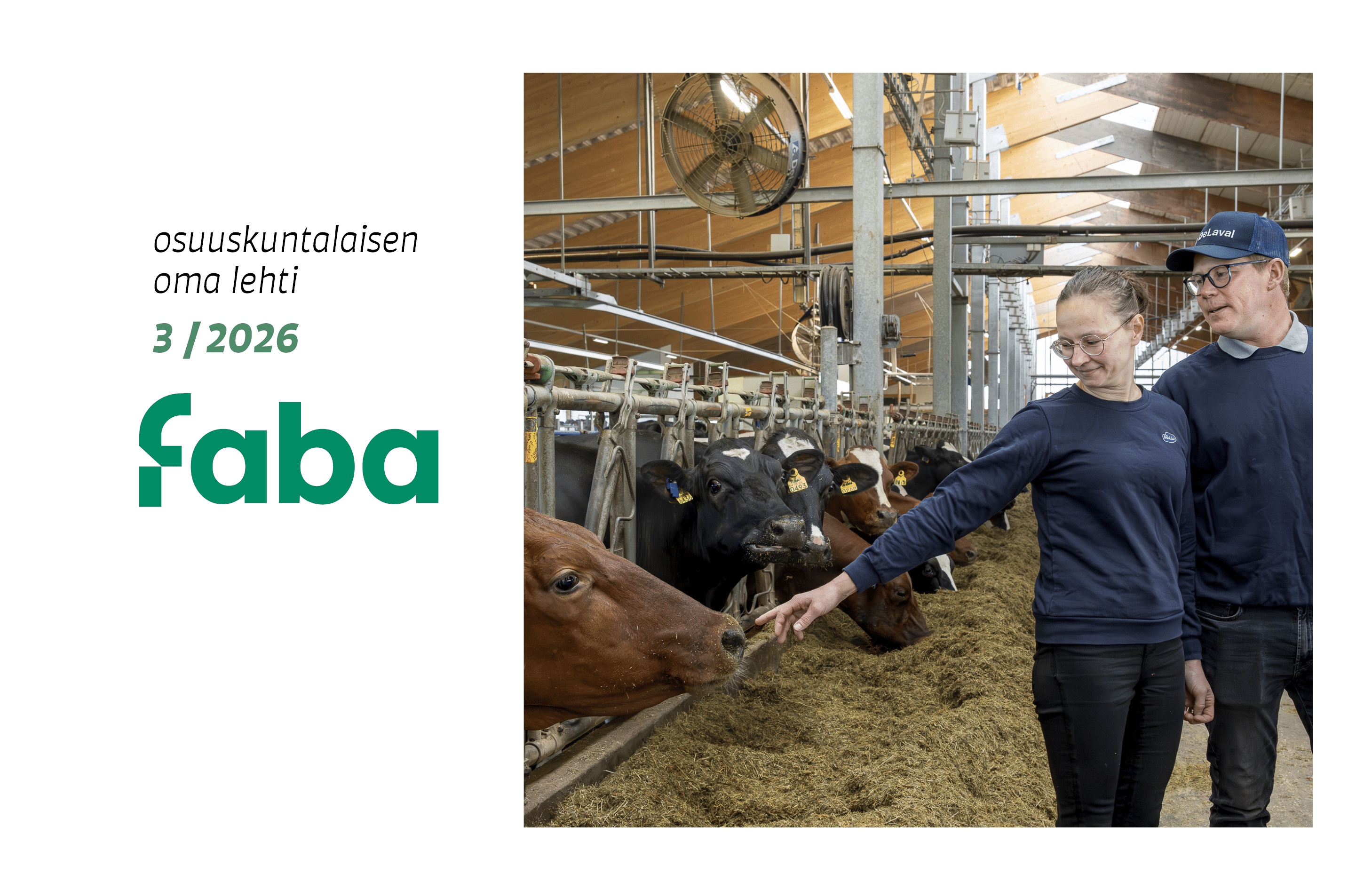 Faba 3/26