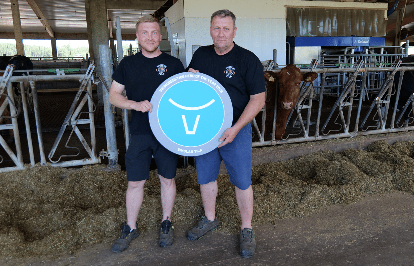 Simolan tila on VikingGenetics Herd of the Year 2026